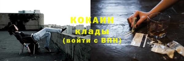 сатива Коряжма