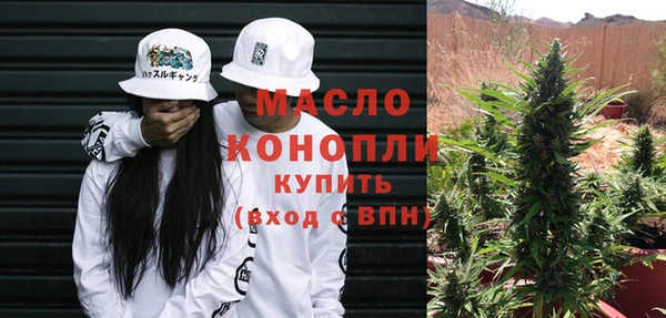 сатива Коряжма