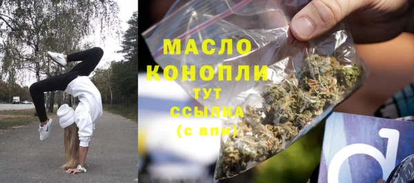 сатива Коряжма