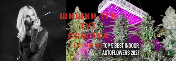 скорость Краснослободск