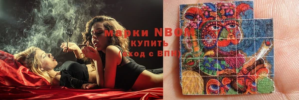 сатива Коряжма