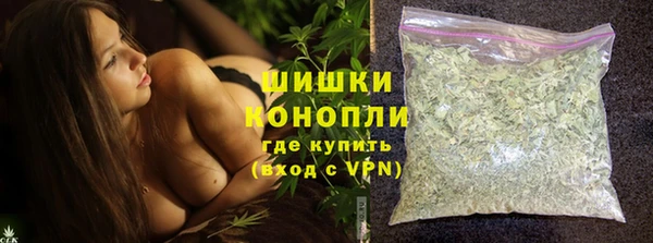 сатива Коряжма