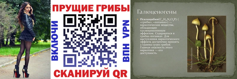 Псилоцибиновые грибы мухоморы  купить наркоту  Уфа 